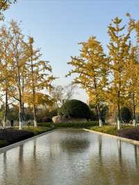 打卡南京青奥公園！散步吸氧好去處！
