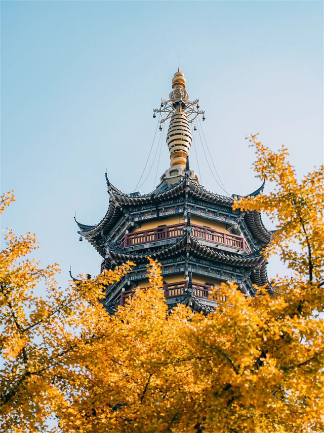 別錯過定慧寺，一起來欣賞這金黃的秋色吧！