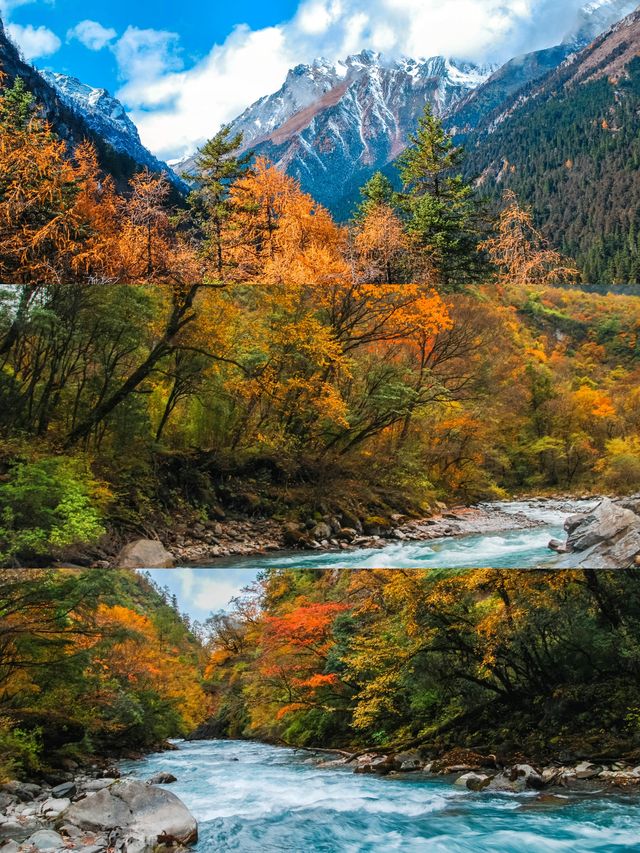 不想去光霧山的，來這個小眾免費的彩林盛景