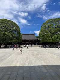 Tokyo, trip of a lifetime. A dream come true