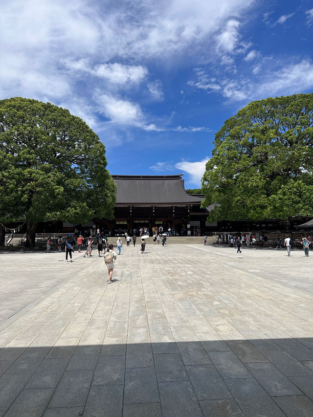 Tokyo, trip of a lifetime. A dream come true