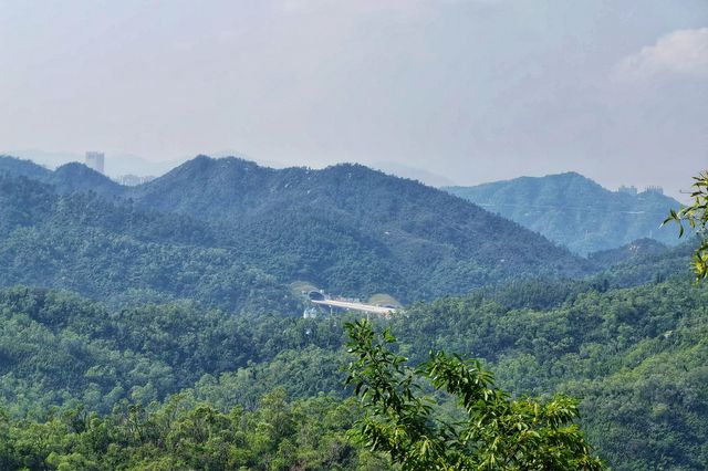 登鳳凰山古道～思古幽今，放飛心情