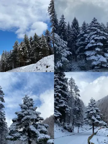 The most comprehensive travel guide to Shenmulei, experience the unique primitive charm