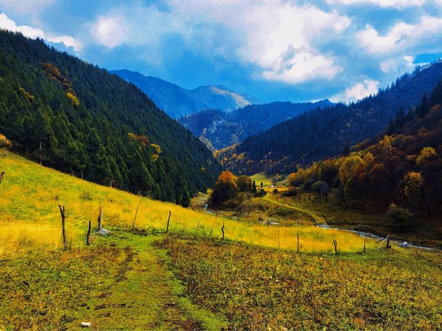 青海互助北山風景