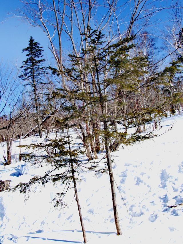 原來姊也能過雪山的