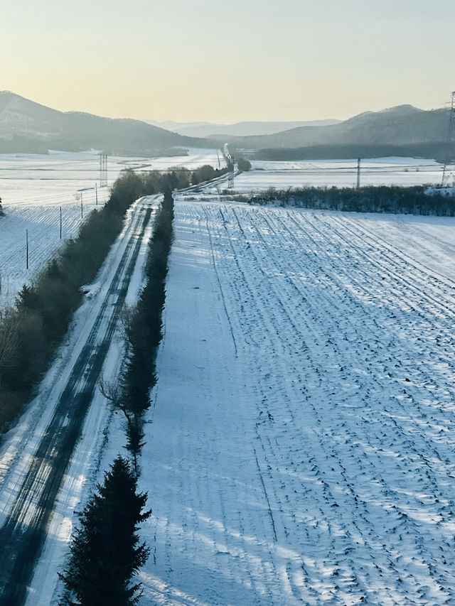 清晨沃雪東北大地