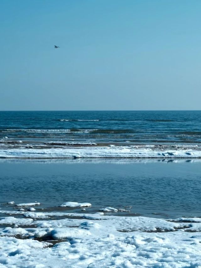 河北秦皇島 | 冬季的景色美出天際堪稱一絕 河北秦皇島 | 冬季的景色美出天際堪稱一絕