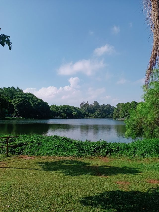 巴西聖保羅IBIRAPUERA公園必打卡