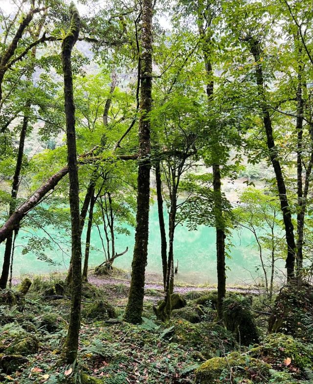 這一次別錯過，喇叭河的秋天大美成油畫