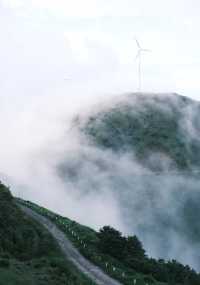城市吸氧好地方，登高望遠…一切滿足！！！