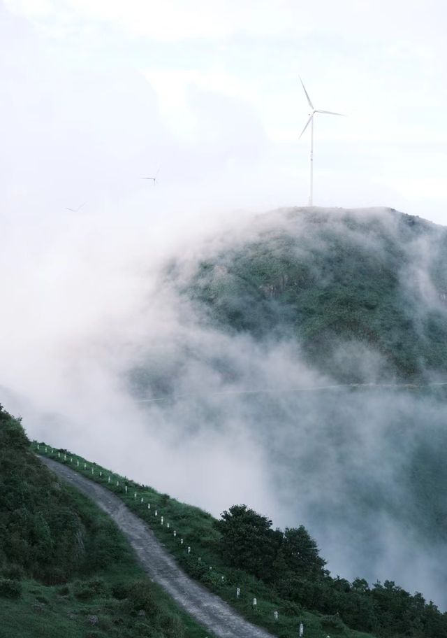 城市吸氧好地方，登高望遠…一切滿足！！！