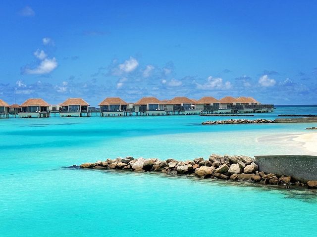 馬爾代夫麗笙度假村～絕美的天氣映襯下，整個小島像是天堂般美麗