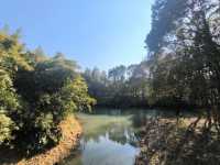 昆山安亭一日遊