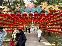 紅紅火火 春色啟龍年 景山公園 北京