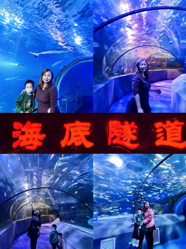 北京室內遛孩寶地｜在海底世界打開小朋友更多的好奇心