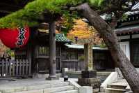 去日本不要錯過的神奇寺廟和神社