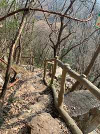 荊門大口國家森林公園湖北周邊隱藏絕美翡翠