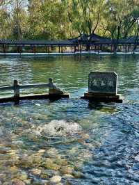在濟南走一種很新的泉水古城walk附路線