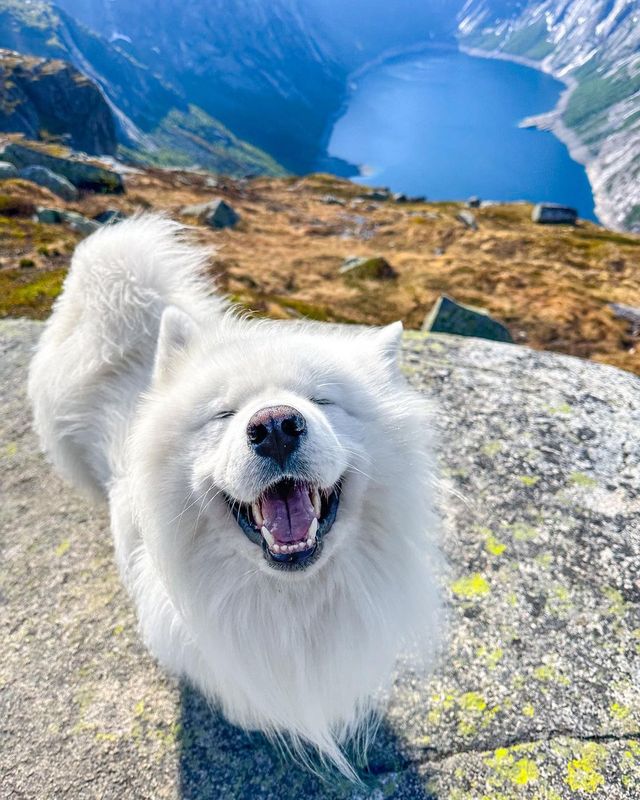 😁✨ Unleash Your Inner Explorer in Norway! Discover the Best Hiking Trails and Fjords 🏔️⛰️