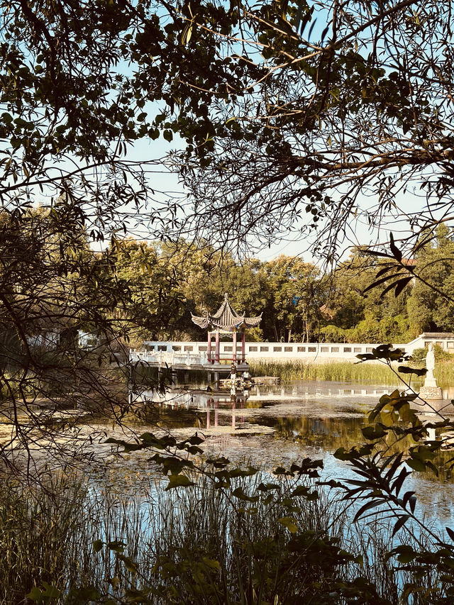 春天的武漢！給大家推薦一條私藏踏青路線！！