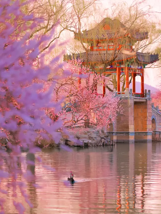 베이징에서, 봄과 경치가 밝고, 하늘이 맑고 푸르다