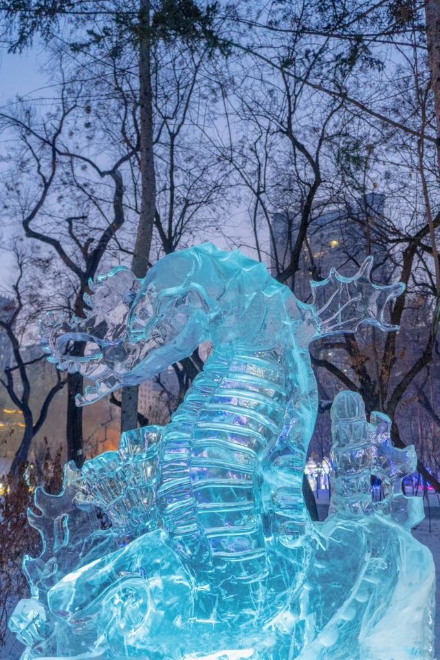 哈爾濱|兆麟公園流光溢彩