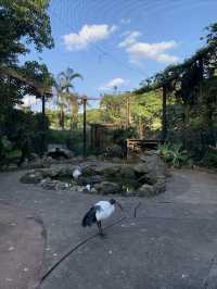 沖繩·東南植物樂園｜赴一場童話般的綠野仙蹤