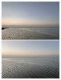 居延海——在蘆葦蕩裡看最美的日出