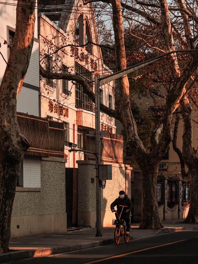 花筑奢·上海｜一起city walk，體驗繁華都市的魅力之窗