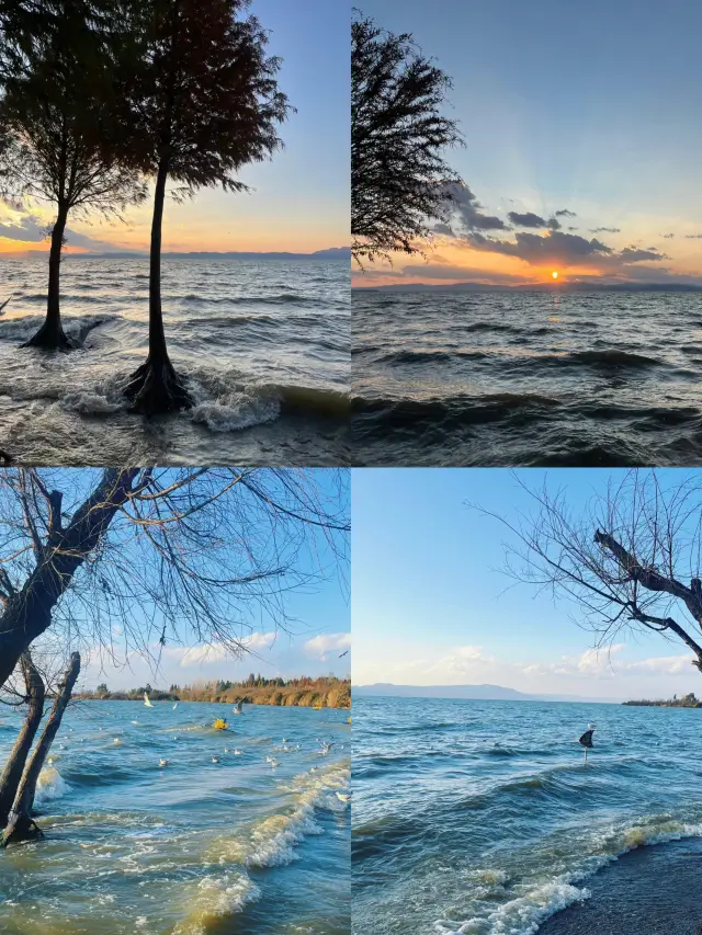 윈난성 딴츠(滇池) 호수를 하루 만에 빠르게 여행하세요