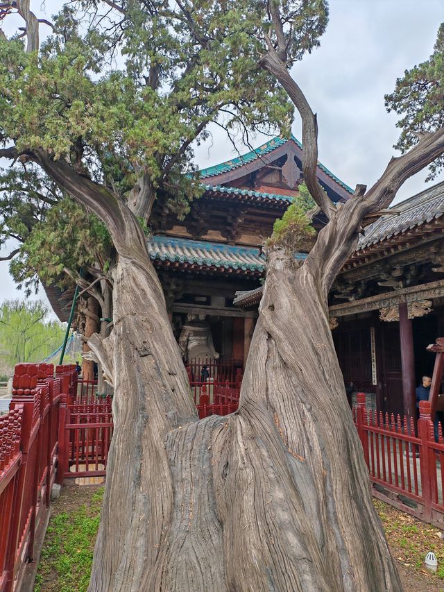 龍城太原一日遊！