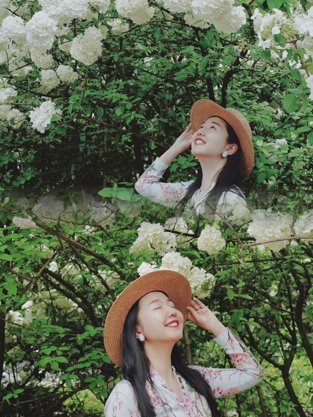 重慶周邊的這 10 個地方,藏著超美的花花世界~ 重慶周邊的這 10 個地方,藏著超美的花花世界~