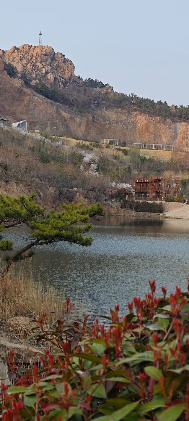 浮山公園越來越美咯