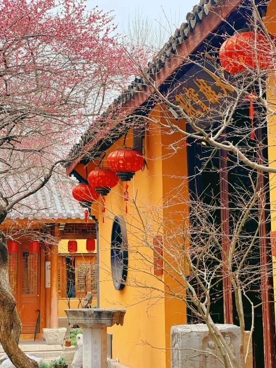 Beautiful Temple Surrounded by 🌸Blossoms🌸 