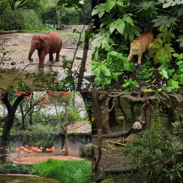 上海動物園