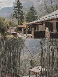 長沙周邊找到童話裡森林小屋🪵誰懂啊!