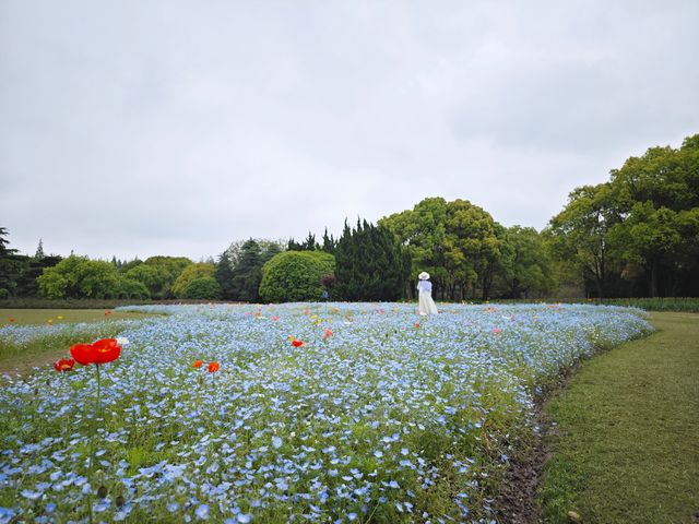 周末的快樂是免費公園給的