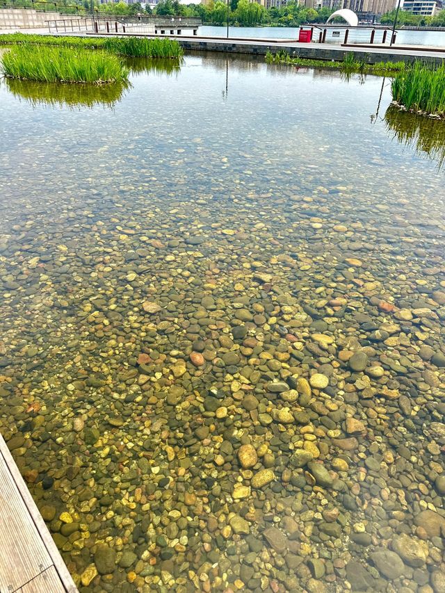 成都遛娃｜捞鱼、摸虾、玩水寶藏公園||