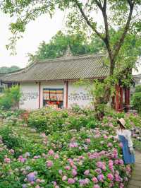 成都周邊開滿無盡夏的古寺，太美了！
