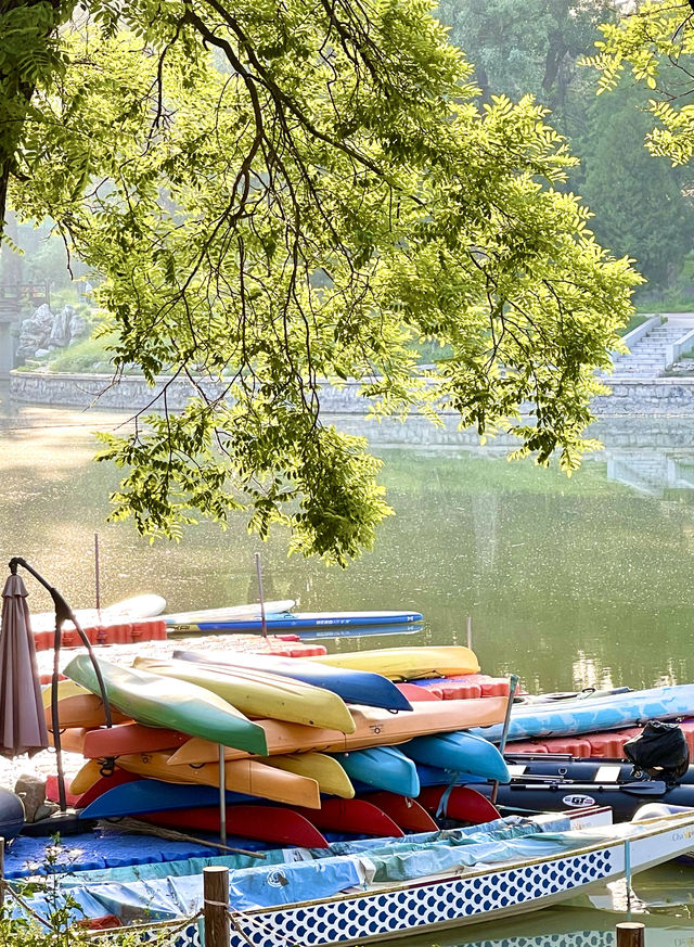 初夏的龙潭中湖公園 北京
