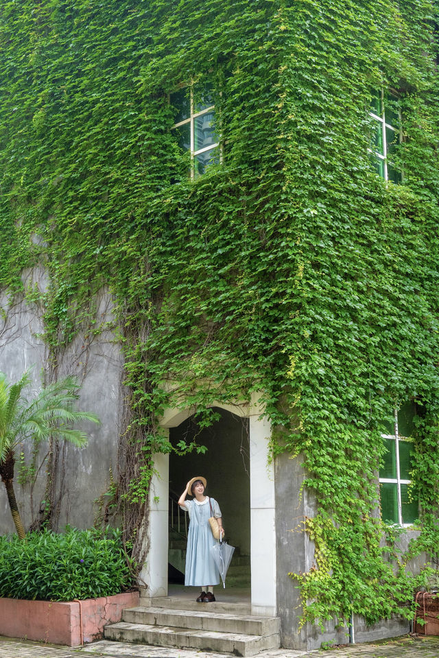 發現廣州新的拍照地長滿藤蔓的漫畫小屋~