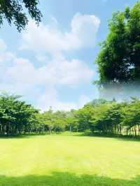 我宣布！ 大沙河生態公園是深圳公園的天花板！