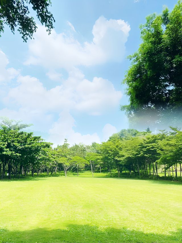 我宣布！ 大沙河生態公園是深圳公園的天花板！