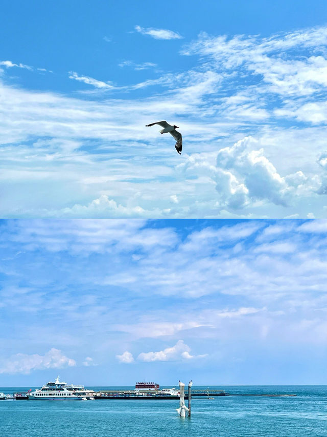 西北大環線青海湖|自由是吹向心靈的風