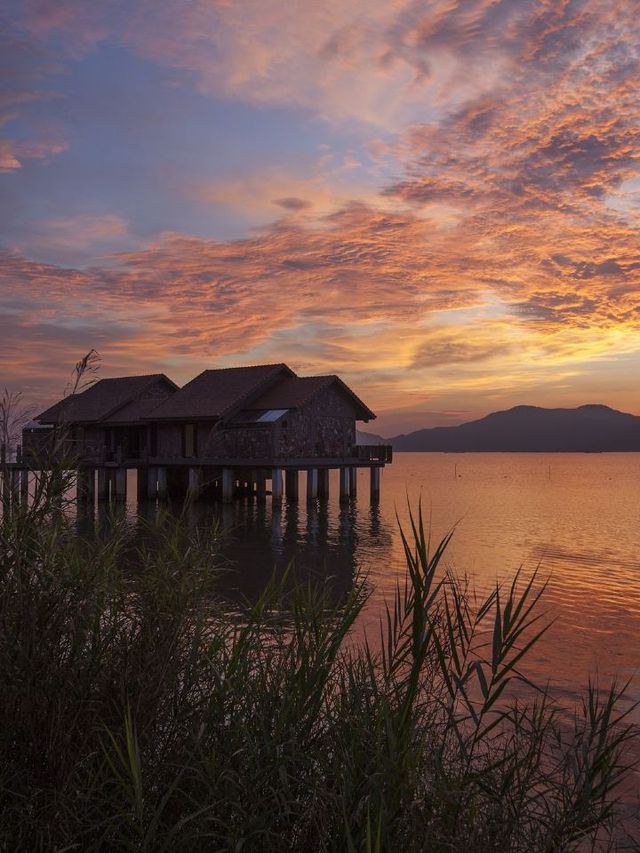 🌟 Hue Haven: Vedana Lagoon Resort & Spa Vibes 🌿🏨
