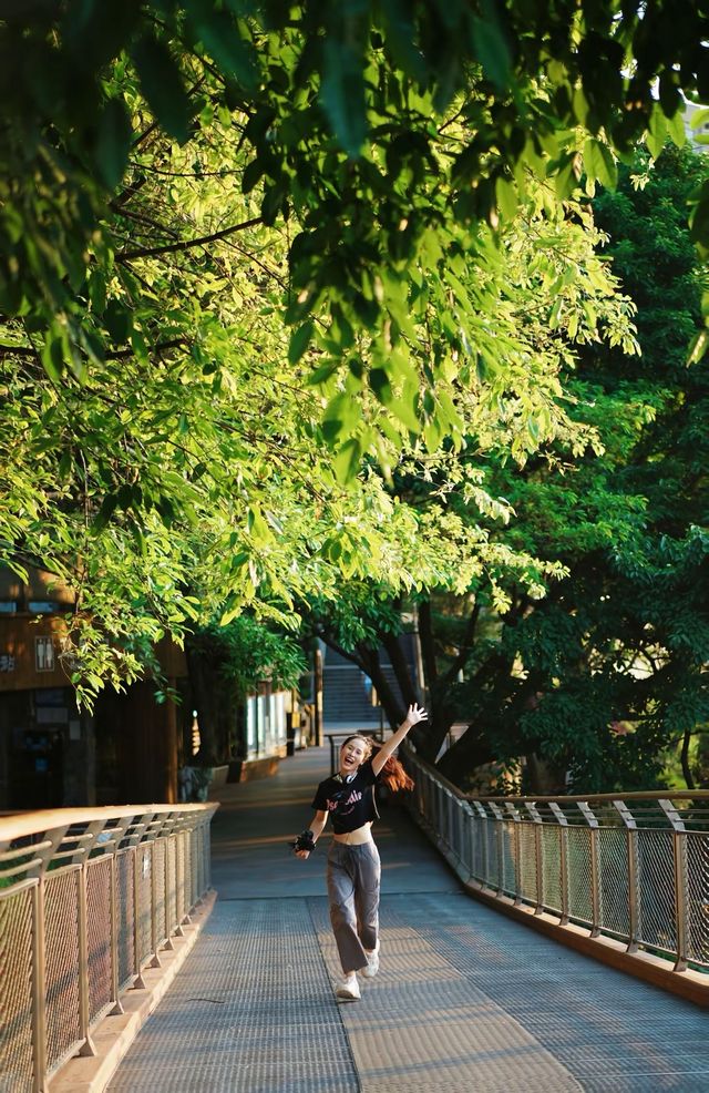 重慶慢慢遊本地人私藏的個寶藏地點