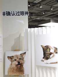 上海新展｜家有毛孩子速來觀展可帶寵物哦