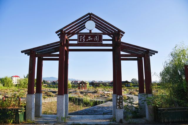 蓮花縣菏花博覽園