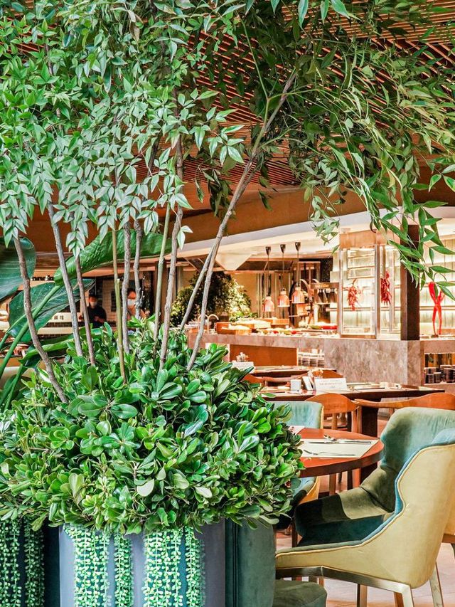 🌟 Shanghai's Luxe Pullman: A Traveler's Dream 🌆✨