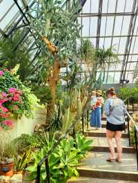 姆塔特溫室：北美最大的溫室植物園，被譽為“金字塔綠洲”